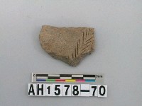 藏品(灰色夾砂陶片)的圖片